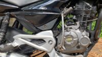 Bajaj pulser 135