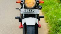 Honda hornet