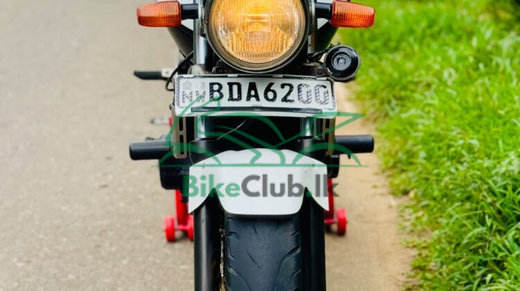 Honda hornet