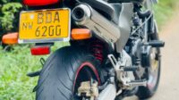 Honda hornet