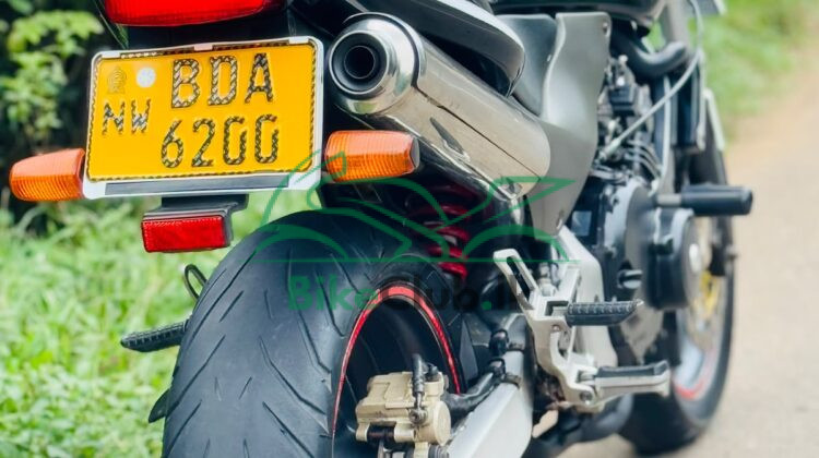 Honda hornet