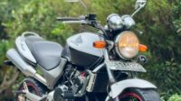 Honda hornet