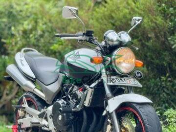 Honda hornet