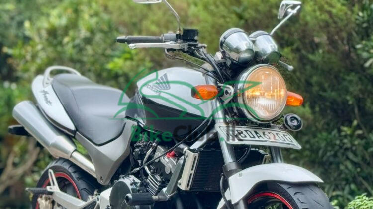 Honda hornet