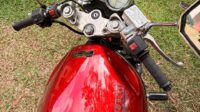 Suzuki Bandit 250s