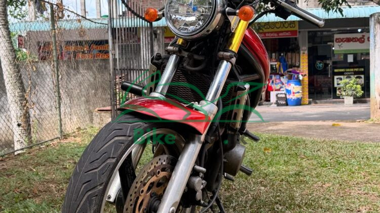 Suzuki Bandit 250s