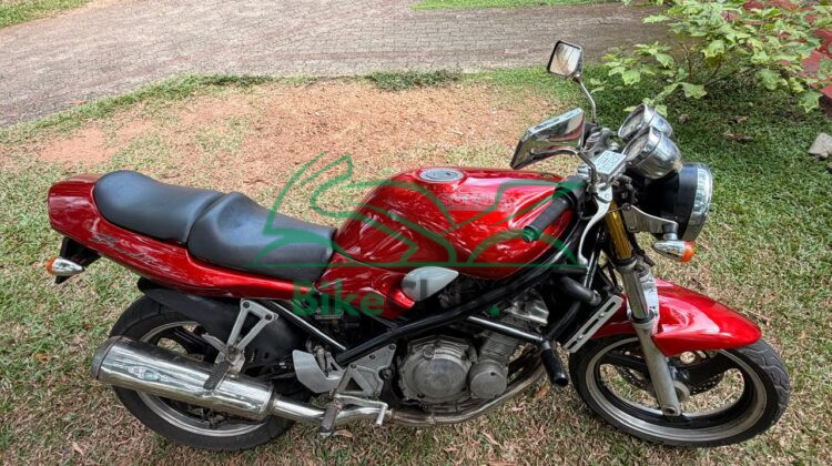 Suzuki Bandit 250s